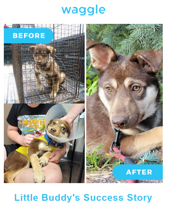 AeroBudCoin's tweet photo. With the help of our community we were able to help out one of the buds!

What's more @base 'd then helping animals https://t.co/jE0xpdmlQv
