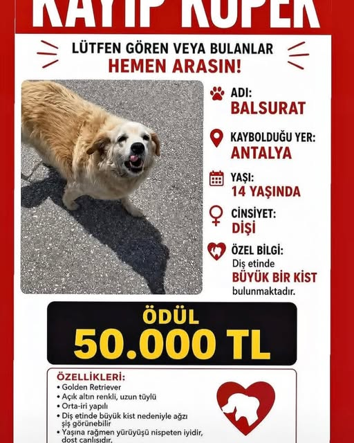 zllktlr's tweet photo. https://t.co/jXCG5h3Ekl