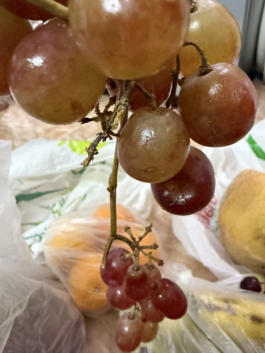 M9f____'s tweet photo. @OthaimMarkets نهاية عروضكم ، ليش منتجاتكم توصل كذا ؟مافهم يعني احنا موبشر ولا ايش الموز خربان والشمام خربان والعنب ياساتر غير الريحة وين الأمانه والذمه والضمير ؟ https://t.co/U94dLnxUaC