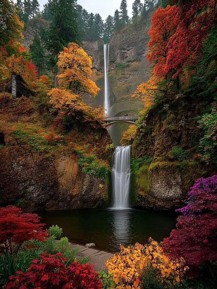 ab_cd_1235's tweet photo. Multnomah Falls in Oregon 🇺🇸 https://t.co/qk10f27OKE
