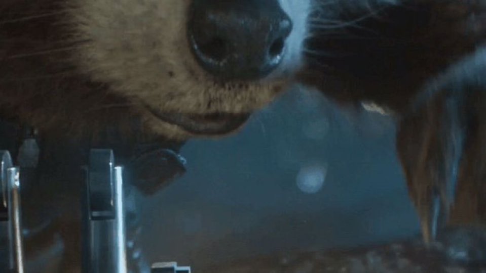 SpaceRacy's tweet photo. https://t.co/k8IxPwRODM