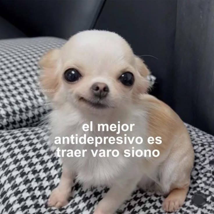 FraseSimple's tweet photo. https://t.co/UAHdKshjDN