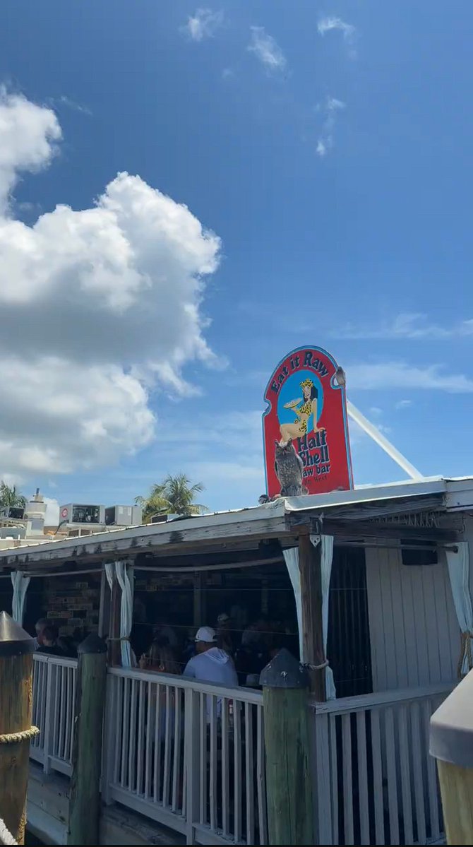 HistoricSeaport's tweet photo. A true Key West classic 🦪🌊

Fresh oysters, peel-and-eat shrimp, and waterfront views—Half Shell Raw Bar is as authentic as it gets.

✨ Come for the seafood, stay for the vibe. 

#KeyWestEats #HistoricSeaport #FreshSeafood https://t.co/8ChudN0KyN