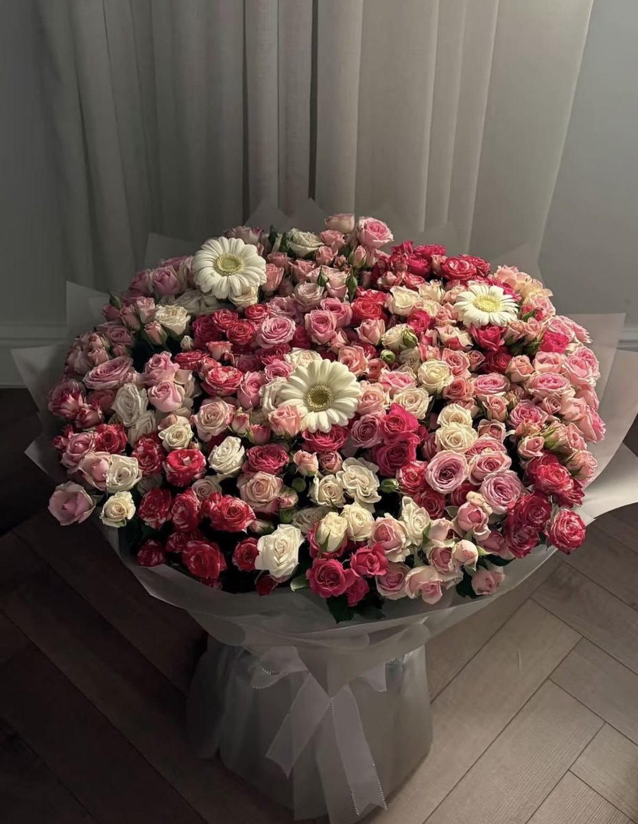 Dreamcorefk's tweet photo. @LueurConfession 🌷: Para ustedes. 🩶 https://t.co/UadcUZdwdM