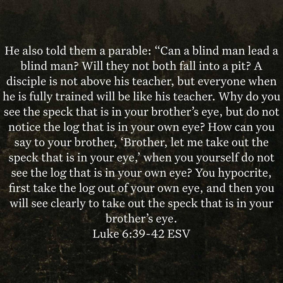 BibleWithJon's tweet photo. These statements all appear to be connected and appear to be warning against being blind guides. The student becoming like the teacher but not greater, blind leading blind, speck versus log. Being a blind (untaught) teacher is a dangerous thing, especially for those who follow. https://t.co/A9hvRryrji