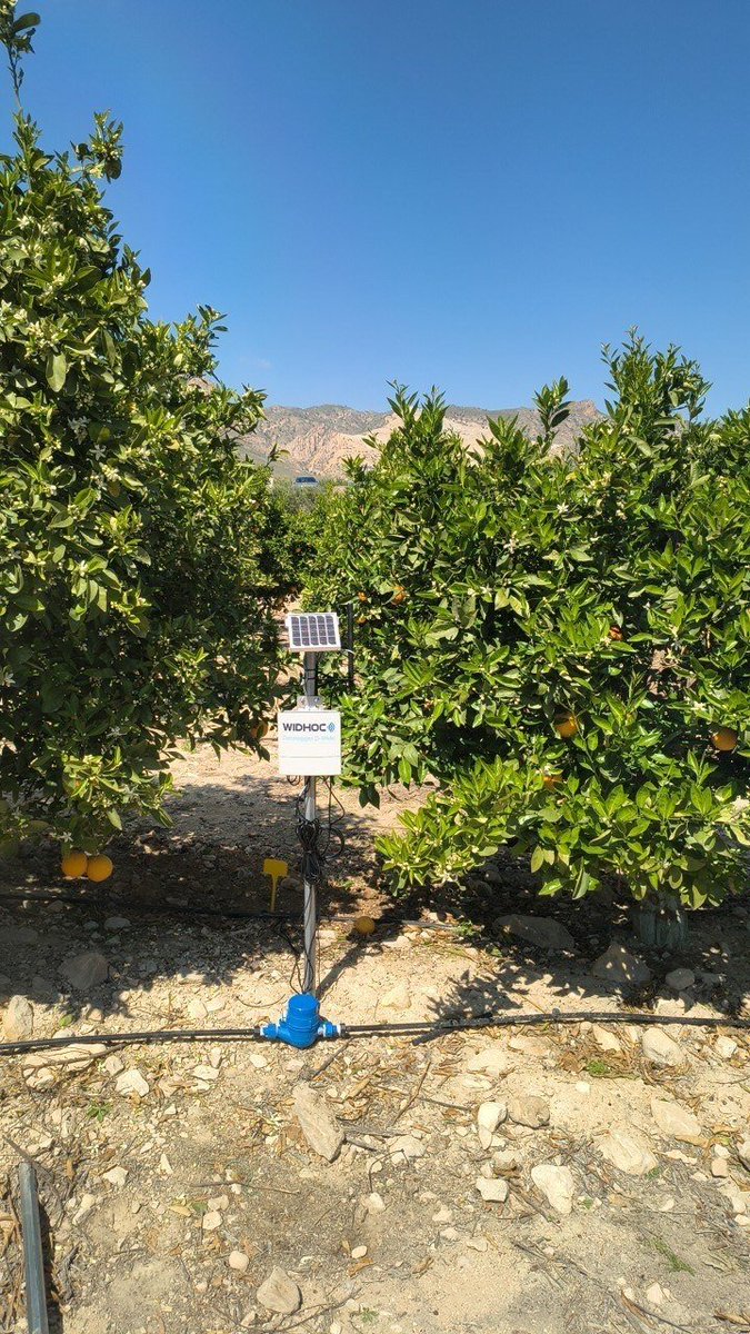 RM_Agua's tweet photo. La Comunidad impulsa la mejora del regadío en Abanilla con un sistema de monitorización en tiempo real

El proyecto piloto de digitalización para reducir los lixiviados beneficia a los cerca de 1.100 comuneros de la Comunidad de Regantes El Porvenir, que cuenta con 1.850 hectáreas dedicadas principalmente a cítricos y olivos

https://t.co/0Z9bDxz87U