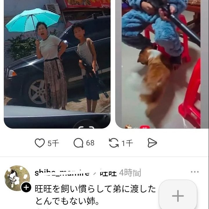 niji9ro__'s tweet photo. この後、旺旺がお礼をしたような場面があったと思います

旺旺の短い生涯の中ずっとゴミガキら一族に虐待されていた！
親らは虐待動画を転売するために手懐け、その日を迎えた

ガキの家に閉じ込めエアガンで打って虐待したり外の家でも銃弾が転がっていたので、旺旺が傷つけられていたのは間違いない https://t.co/6ek7g6dpGJ