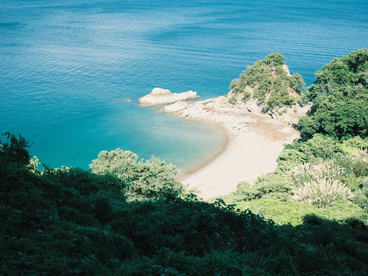 naotokirimare's tweet photo. FUJIFILM X100Ⅵ https://t.co/4TrsY5whtr