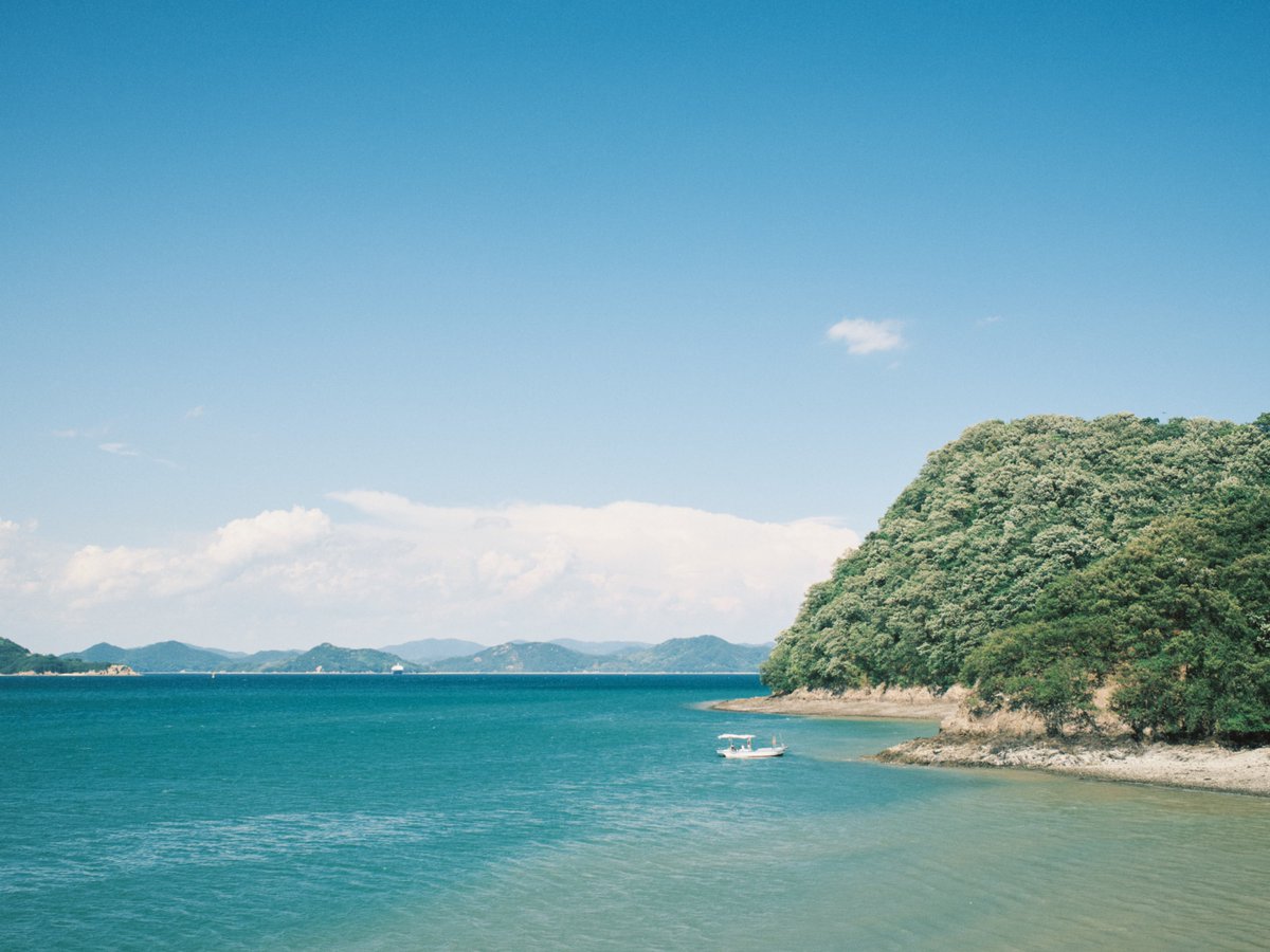 naotokirimare's tweet photo. FUJIFILM X100Ⅵ https://t.co/4TrsY5whtr
