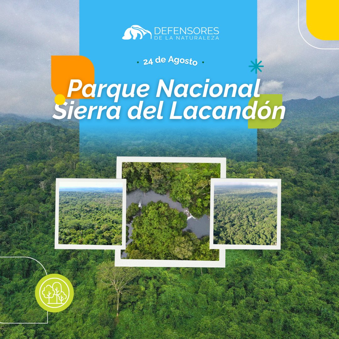Defensores_FDN tweet picture