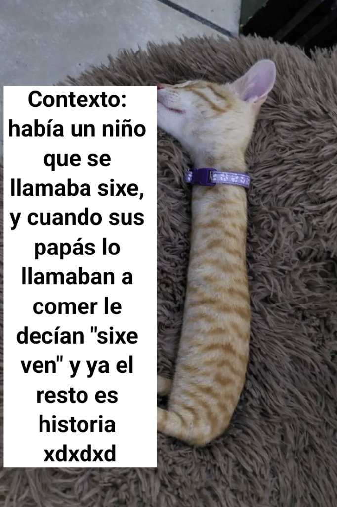 Todessoldat2's tweet photo. “El cristianismo fue inventado por colonos cristianos...”

Nah, esto tiene que ser ragebait https://t.co/xpYG7KVQn8