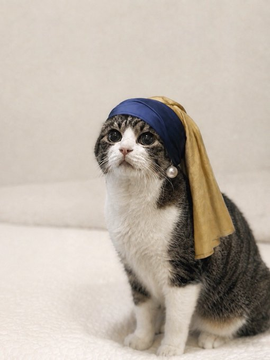 KinderQuant's tweet photo. WE'VE JUST BEEN GIVEN THE FISH VERSION OF THE GIRL WITH A PEARL EARRING!!!!

We've had the dog version, DOGETTE, we've had the cat version COGE...

THAT ALL WENT TO ATLEAST A MIL

Now we have a fish version, FOGE!!

https://t.co/0Cq7u6nNDZ https://t.co/hPuO59FBkb
