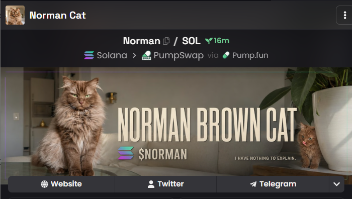 NormanCat_pump's tweet photo. Updated Dexscreener 

https://t.co/YkSwFZp1SB https://t.co/CB4ersiRbz