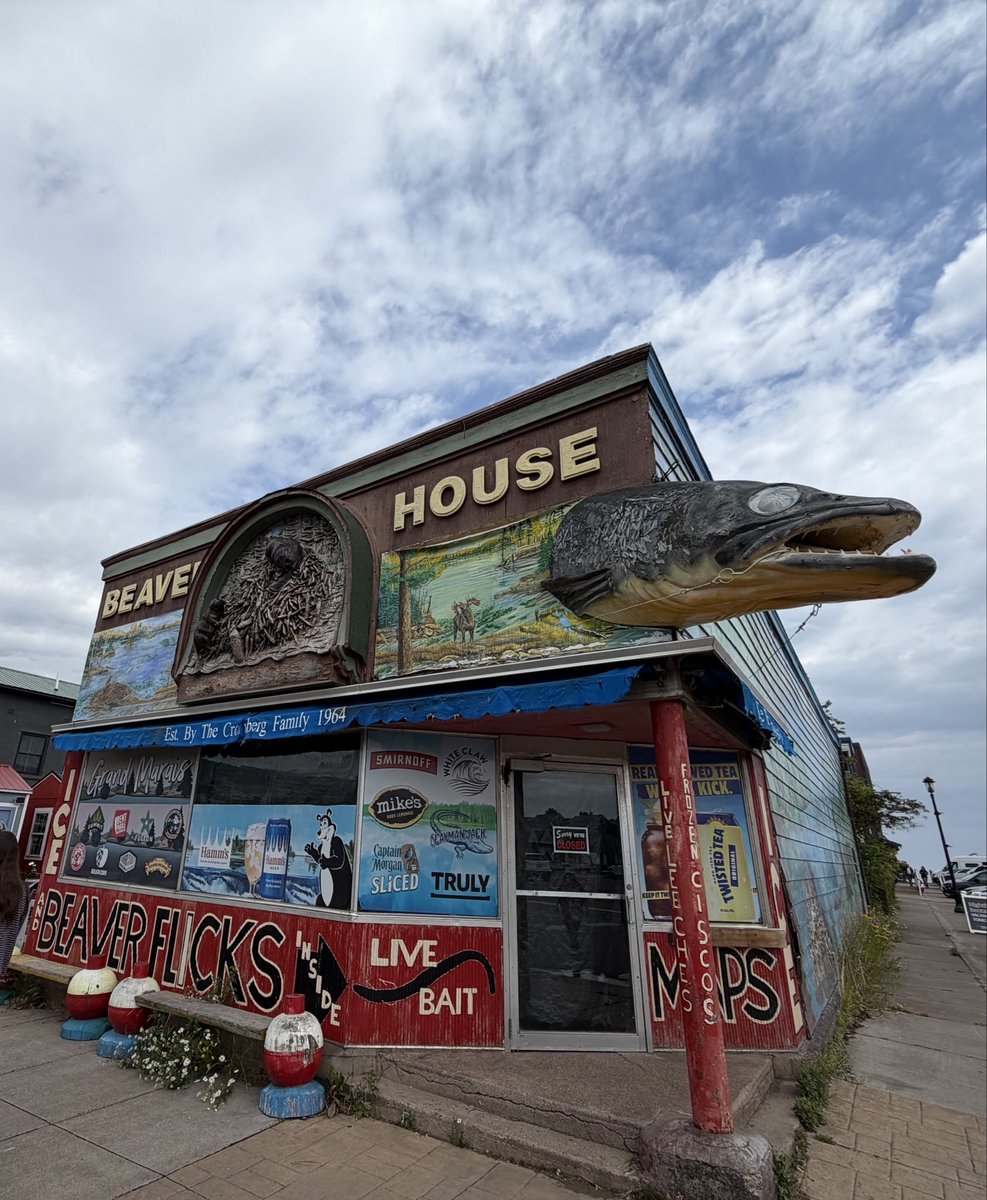 JohnsonHugh6's tweet photo. Ya boys been roaming
Imagine throwing em back at the Beaver House
#beav https://t.co/gsGeb20E82