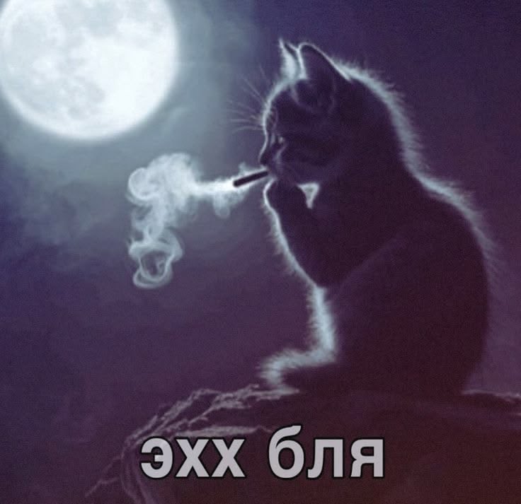 enkelisielu's tweet photo. мое самое большое разочарование в жизни это то, что мои дедушка и бабушка не стали подавать на гражданство финляндии, когда у них была возможность
каждый раз думаю и пробивает на слезы https://t.co/ZhDC1YxTVj
