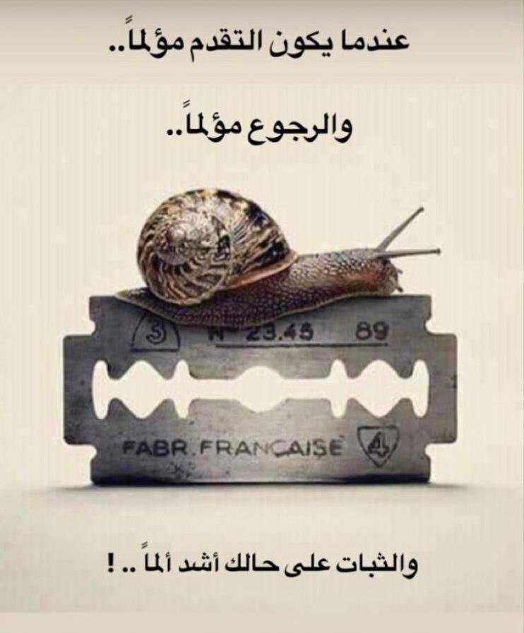 momen_seddik's tweet photo. الوضع حاليا💔 https://t.co/PcHNW1CmRe