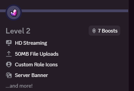 Lucasthelizardd's tweet photo. @discord_support uhmm.. what am i evem paying for then??? https://t.co/So4LCYRTCi