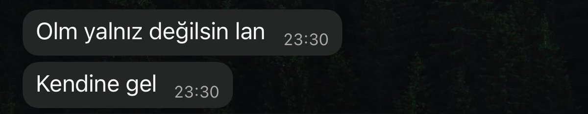 xttoska's tweet photo. @eceepehlivan Olum sen olmasan benim mentalim ordan sag cikamazdi attigin su mesajlar olmasa ua da gelmesen https://t.co/azygeH8Ctb