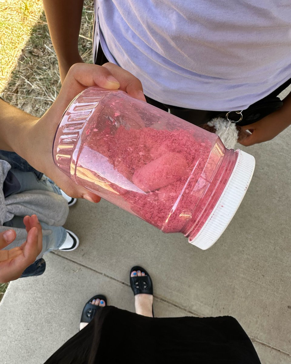 CFISDPost's tweet photo. Our 5th graders were modeling how sedimentary rocks are weathered with chalk! 🪨 https://t.co/a5ZVbLyXo7