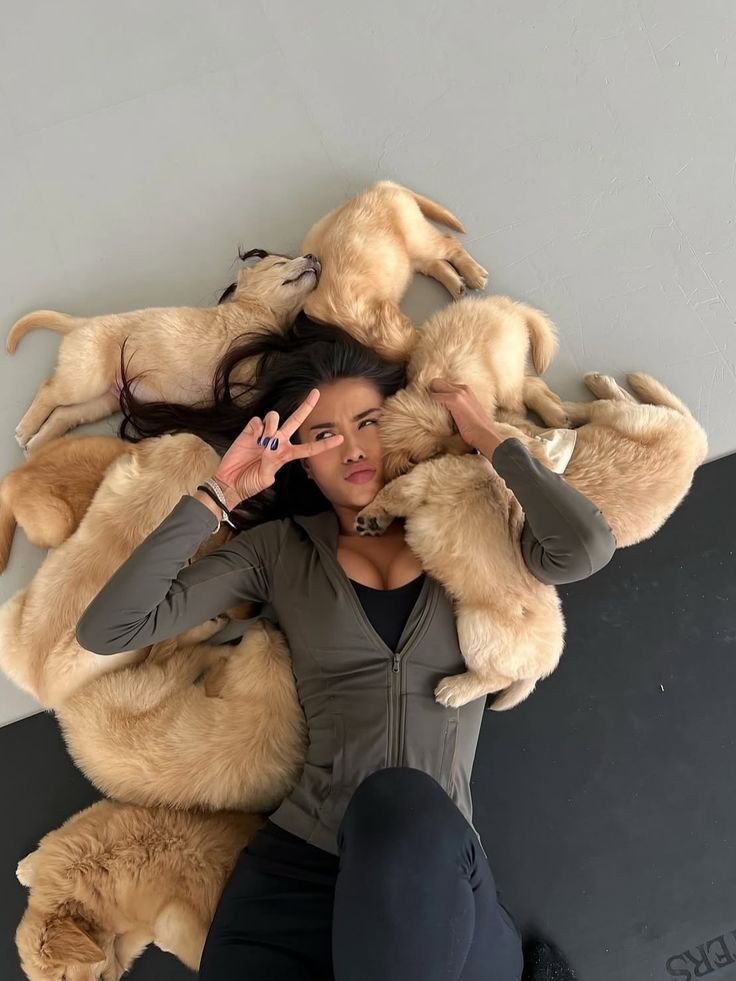 DanielMoreno46's tweet photo. Soft picture.
Real version: me stuck on his knot, shaking, and taking every drop.
Link in bio
#dogs #K9 #USA https://t.co/OHQhCKPDmx