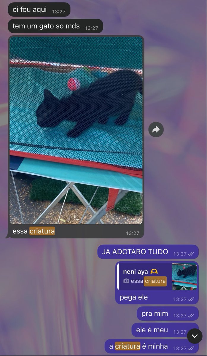 misimorgs's tweet photo. como começou // como estamos https://t.co/KnFpQshJW4