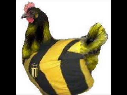 sebaaaaaaaar's tweet photo. @DrWhiskyCap loro / gallina https://t.co/yKslacnFdA