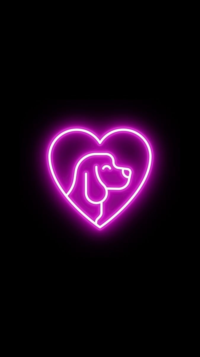 Neonohyn's tweet photo. A Dog owns my heart ❤️🐕
https://t.co/nxMrVmrSKQ
#Doglove https://t.co/djfZpn6lOb