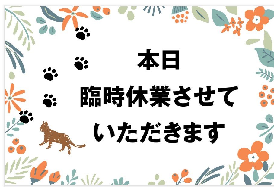 Ramen_bui3's tweet photo. 8/25(火)ぶぃおかみです。
【本日、臨時休業】

すいません。昨日の定休日で
庭の草むしりをしたら…
熱中症になってしまいました。
マスターに引き続き…
おかみも気合が足りず…
申し訳ないです🥲
今日一日、お休みを頂きます。 https://t.co/m0jpPa0m6h