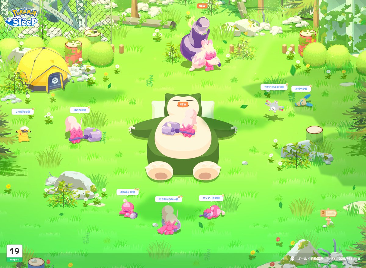 chogepudding's tweet photo. アニポケウィーク、当日の朝になってやっぱゴル旧だ！と思って行ったけど毎日PUすごくてｶﾇﾁｬﾝ系統の寝顔コンプリートできたしアメもめちゃ集まったし、期待してなかったマスター20も行けてよかった🙂‍↕️ https://t.co/keIkt9Rnmf