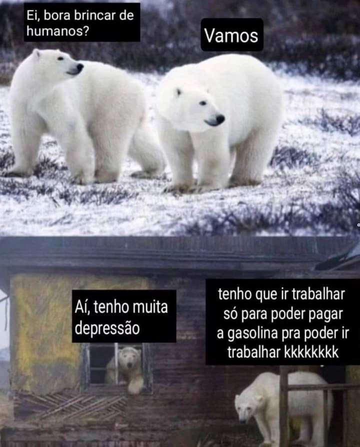 shitpostverdade's tweet photo. https://t.co/KwbIVlWph1