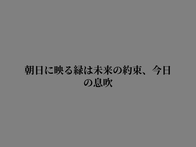 jbps12's tweet photo. 明日へのエネルギー https://t.co/ynMPkwx4fK
