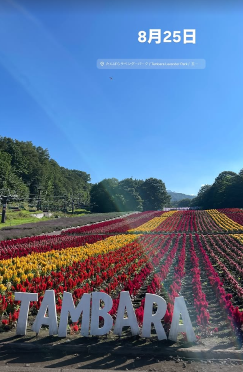 tambaraskipark's tweet photo. #ラベンダー生育状況調査隊
#たんばらラベンダーパークの風景
8月25日（ファイナルウィーク開催中‼️）
現在、ラベンダーは『グロッソ🪻』品種が開花終盤となっています✨この品種は一株一株に大きめの花穂がつくのが特徴です😊園内は目線の高さを変えながら鑑賞すると更にお楽しみいただけますよ👀

「たんばらラベンダーパーク🪻」では来園時期によってラベンダーの主役が変わるラベンダーリレー🏃‍♂️をお楽しみいただけるように管理🌱しております✨

早咲き中咲き品種の『ナナナリサワ🪻』『おかむらさき🪻』から遅咲き品種の『グロッソ🪻』へとラベンダーリレー🏃‍♂️が順調に進んでいます✨
シーズンを通して何度も足をお運びいただくリピート来園🚗がオススメです✨

園内の見頃を過ぎたラベンダー🪻はお花部分を丁寧に摘み取り「ドライフラワー」や「サシェ（香り袋）」になったり、「精油」をおこない再利用されています✨
刈り込み風通しを良くしたラベンダー株は来シーズンもキレイに花が咲くように育成を始めています🌱育成中のラベンダーも是非お楽しみください✨
#順調な生育

ひまわりガーデン🌻のひまわりも日々新しい花を咲かせ、一面黄色に見頃になり園内の賑わいが増しています

彩の丘の一面のケイトウ🌈も見頃を迎え圧巻の景色を作りだしています。フォトスポット📸に大人気となっています

本日は終日晴れ予報🫰朝の気温は22℃🎐最高気温が25度程度を予想しています。
標高1,300mでは都内と比べて-5°〜-10°程度気温は低いですが、日差し☀️は強めなので、日焼け止め、水分補給、熱中症対策はお忘れなく⚠️園内ラベンダー専用傘を日除けにご活用ください✨

「森の遊歩道」の中は木々🌳に囲まれ涼しいエリア🍃

ワンちゃん🐕達も涼しい園内でお散歩を楽しんでいます❣️

皆様のご来園お待ちしております♪
#見渡す限りラベンダー🪻
#高原の涼しさとおいしい空気とお水があります
#関東最大級５万株のラベンダーパーク
#ワンちゃん大歓迎🐕

#あしかがフラワーパークの入園券でお得に入園
2026年6月27日(土)～2026年8月30日(日)開園
https://t.co/iROfbCubfB

#たんばらラベンダーパーク
#たんばら
#玉原高原では広大なブナ林をハイキング
#玉原湿原は希少な動植物の楽園