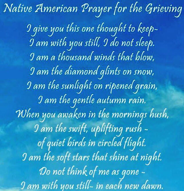 SassytheMinPin's tweet photo. Thank you, Wise Stars, for watching over us. Live strong. Run free. Amen. Stay as long as you wish. You are loved. Paws to Heart #TributeRide #ZSHQ #theAviators #Hedgewatch #theRuffRiderz #CloudRiderz https://t.co/vNYLqlVYuE