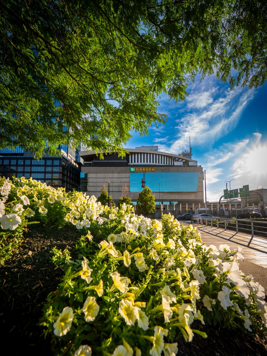tdgarden's tweet photo. August in Boston 💚 https://t.co/M4f1xoKjKj