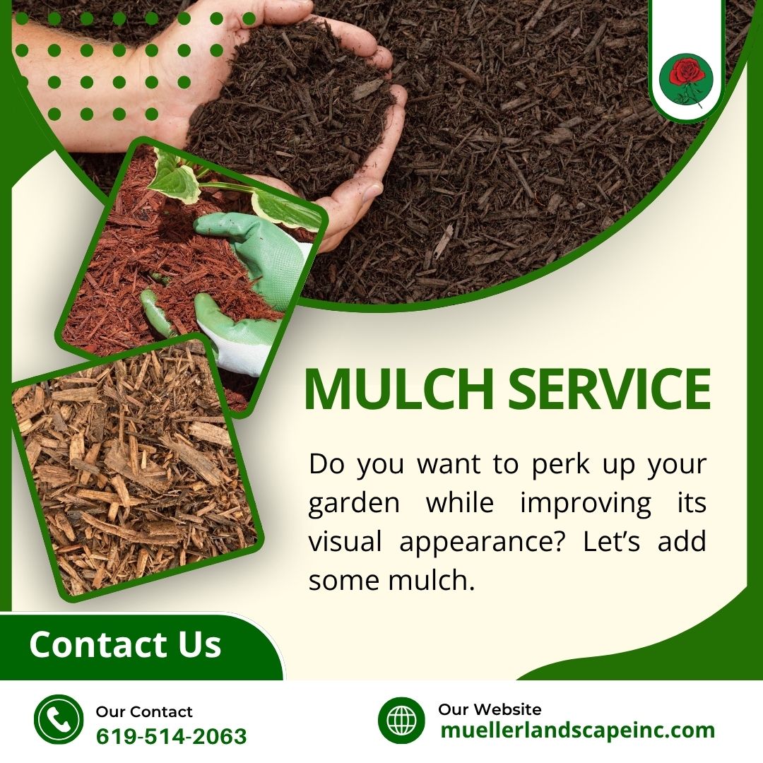 MuelleLandscape's tweet photo. Upgrade your garden instantly πΊπΏMulch adds beauty AND protects your soil!
.
.
.
.
#MulchService #GardenDesign #SoilCare #Landscaping #PlantCare #OutdoorStyle https://t.co/TummP51XbV