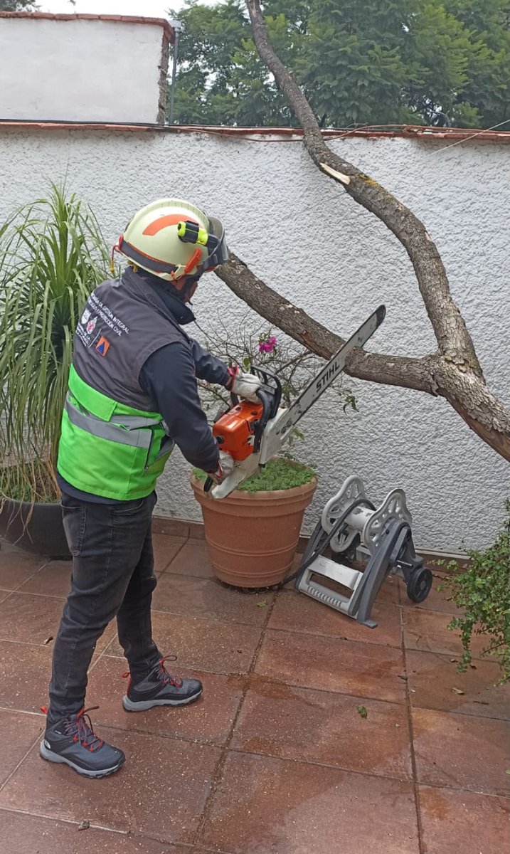SGIRPC_CDMX's tweet photo. En la calle San Raúl, colonia Pedregal de Santa Úrsula, @Alcaldia_Coy, se registró la caída de una rama de 3 metros de longitud de un árbol seco en la azotea de un inmueble. No se reportan afectados ni daños colaterales. Personal Táctico Operativo de la @SGIRPC_CDMX procedió con el seccionamiento y acomodo del material para su retiro por parte del propietario.

#LaPrevenciónEsNuestraFuerza