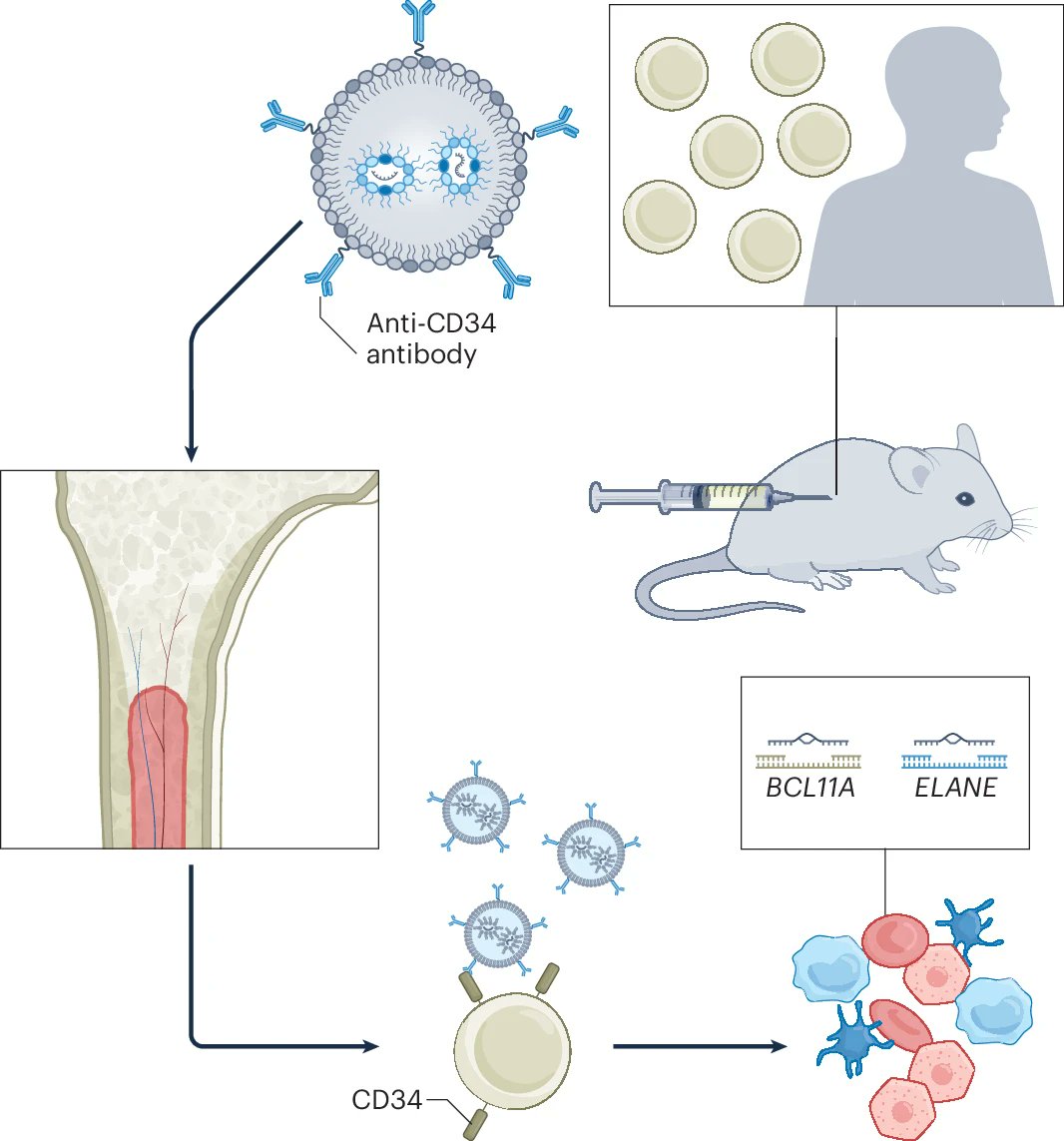 MJMitchell_Lab tweet picture