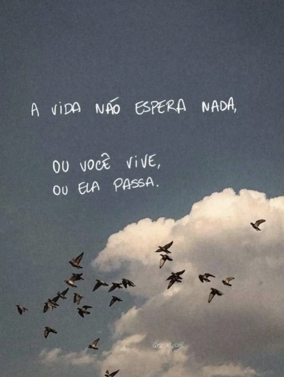 soulembrancas's tweet photo. https://t.co/CE1XTYTdJI