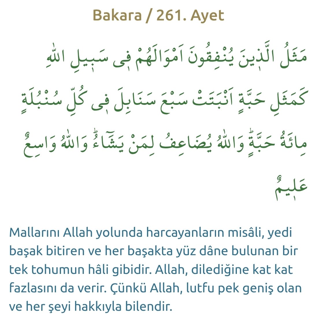 enstkr1's tweet photo. Allah icin tek bir kişi bile dönüş yapmadı :( https://t.co/LjqVlk56Dl