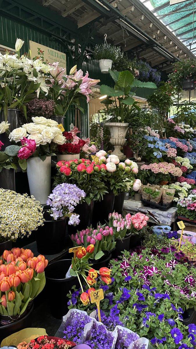 FLOWERS3700 tweet picture