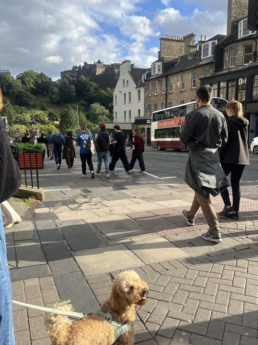 O_hodaa's tweet photo. Edinburgh 🤍🏴󠁧󠁢󠁳󠁣󠁴󠁿 https://t.co/oBe9yCNng3