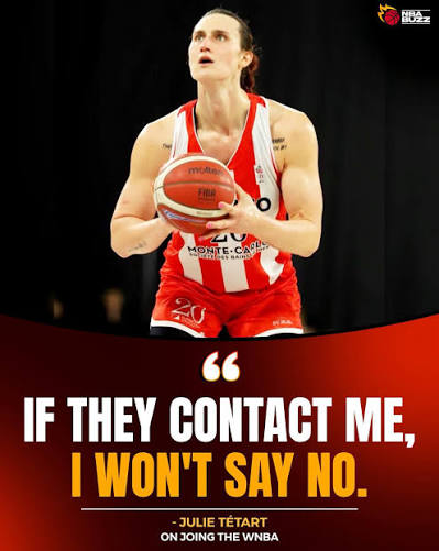 Brickma69's tweet photo. @WNBA @minnesotalynx You bigots! You won't let Enes and Royce join...but you never said anything about Julie! She's averaging 20 points and 20 rebounds in France. Let her play! https://t.co/eYrlwDI7Gy
