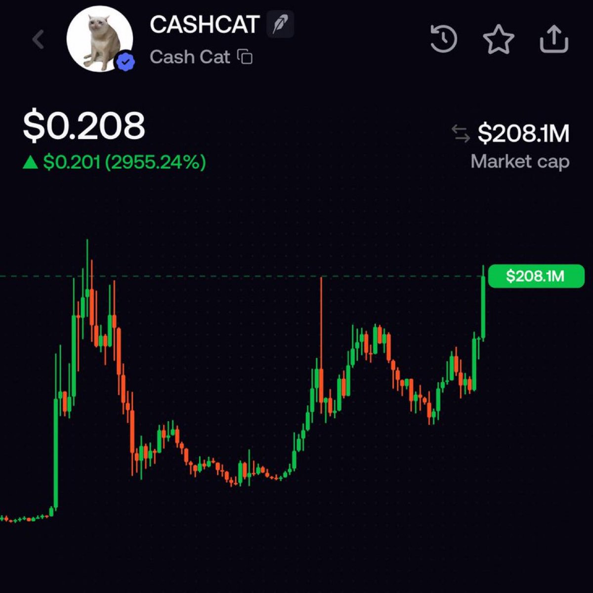 saracrypto_eth's tweet photo. IF YOU BOUGHT $CASHCAT HERE WITH ME

YOUR ONE SOLANA WOULD BE WORTH 2000  $SOL ( 183,000 dollars )

I GAVE THE ENTIRE CT A 2170x with $CASHCAT https://t.co/SC51NvnDFl