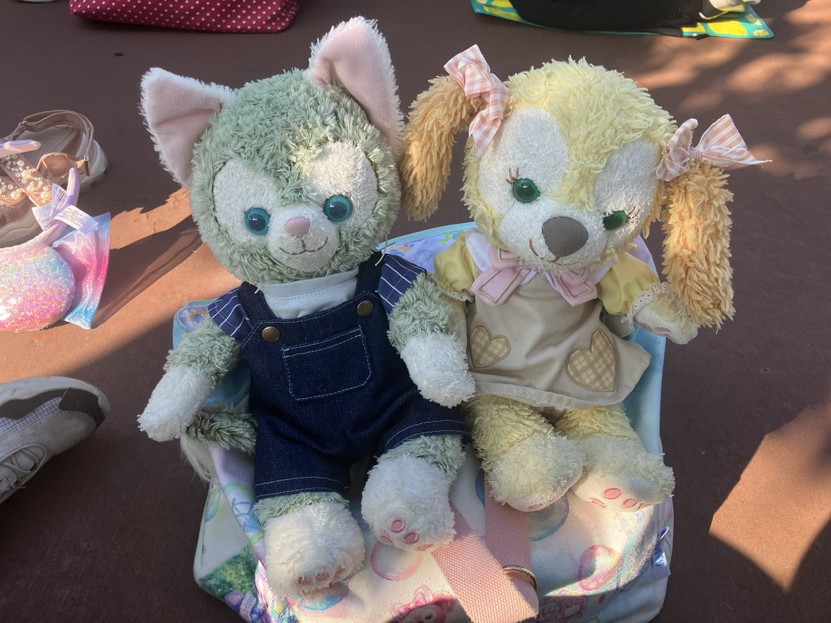 CharaSoraMouse's tweet photo. きょうは #ちゃんくきといっしょ🌻
くきのいもうとをむかえにきたよ

#ふぁいやーにっき🐱 https://t.co/HeXY596kwg