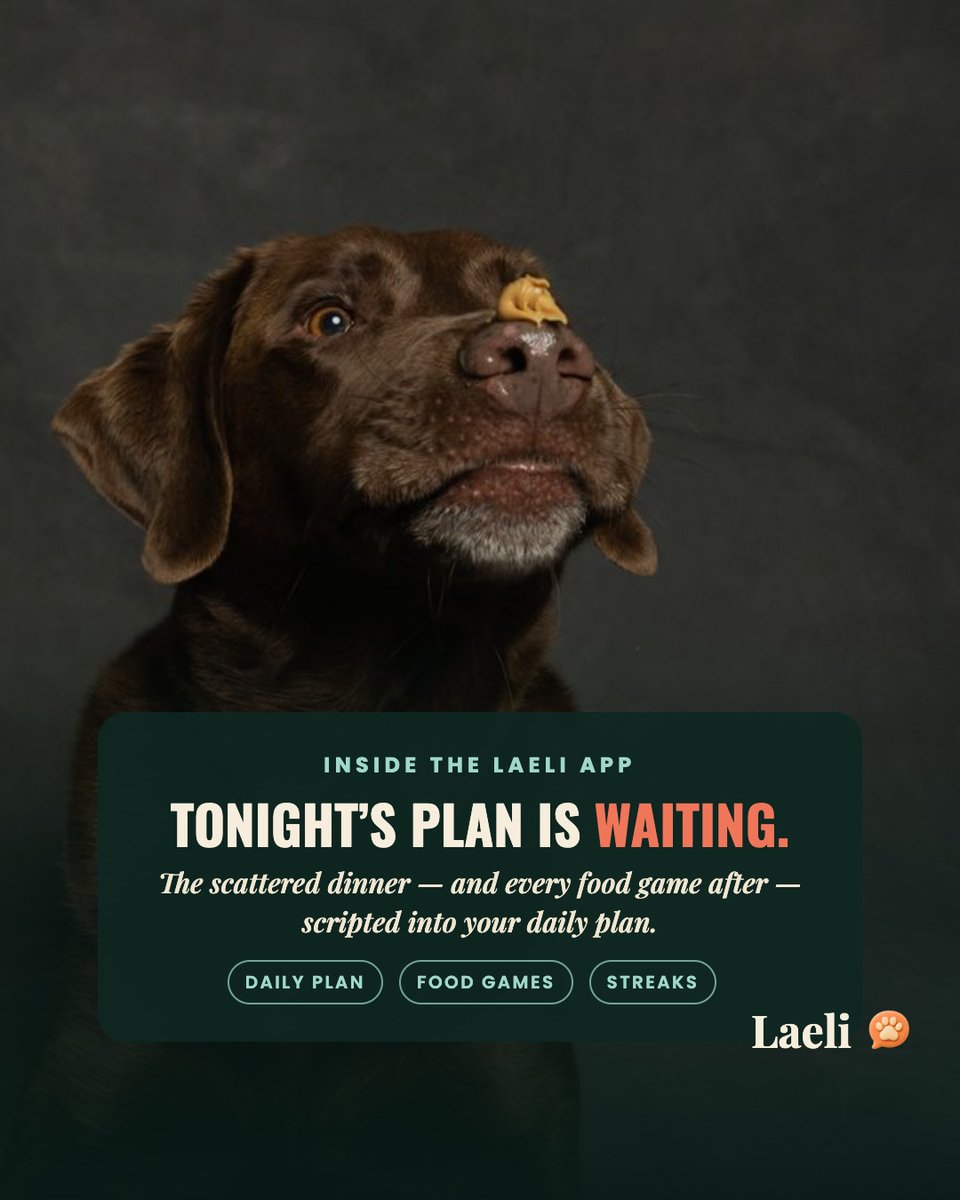 laeliapp's tweet photo. Your dog isn't starving. He's bored.

Thirty seconds and the bowl is empty — because a bowl is the easiest puzzle on earth. He was built to work for his dinner, and we handed him a solved problem.

The fix isn't a slower bowl. It's a harder dinner — same kibble, more work, no extra cost.

Will you try it tonight? 🐾