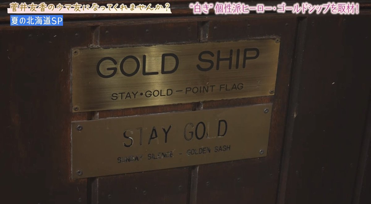 cocoarini's tweet photo. Stay Gold’s nameplate is a fading a bit… Gold Ship let’s be healthy for papa’s sake okay 🥹 https://t.co/mV4lh8R1DM