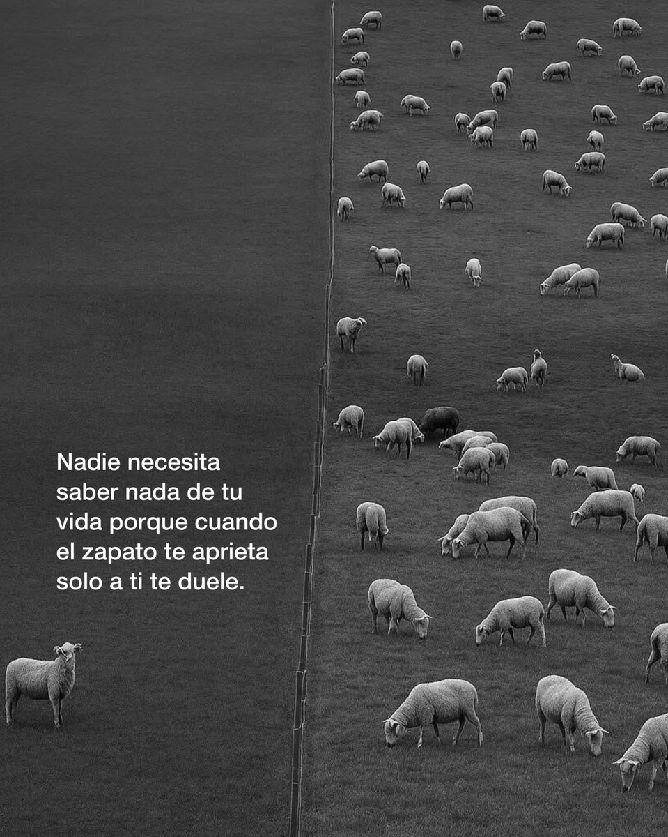 FraseSimple's tweet photo. https://t.co/UBL0HhavZz