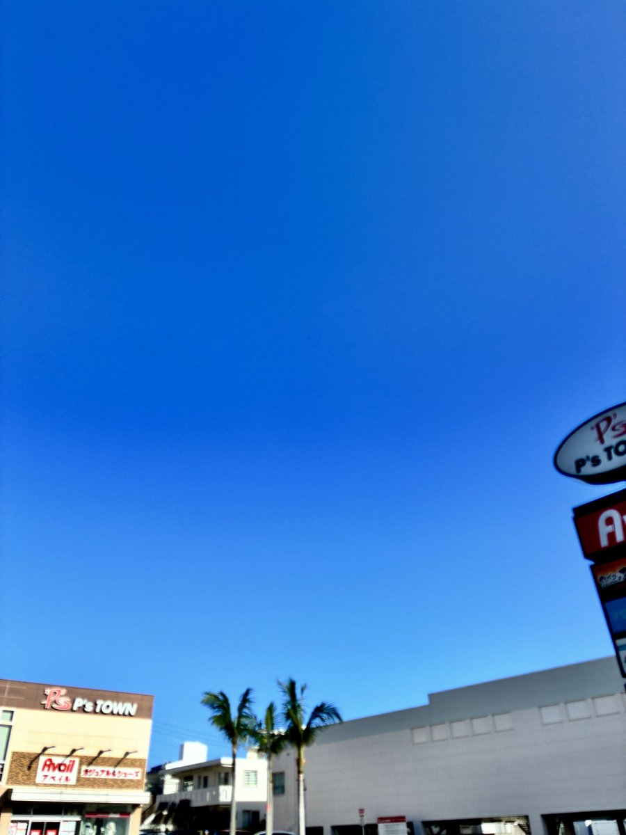 2020mataringo_'s tweet photo. 昨日までの荒天からの今朝の青空。コンパクトなやつが向かってきてるのでご先祖様をお迎えした後バスうごいてるかなぁ、、、

#イマソラ
#青空
#まとわりつく感じが
#18号接近
#ウンケー https://t.co/znphpEMYK8