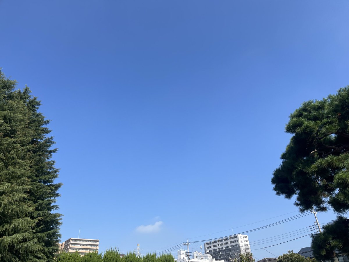 smasuda1's tweet photo. #今日の空 
今日は快晴
久しぶりに暑い https://t.co/PwpQVye3wG