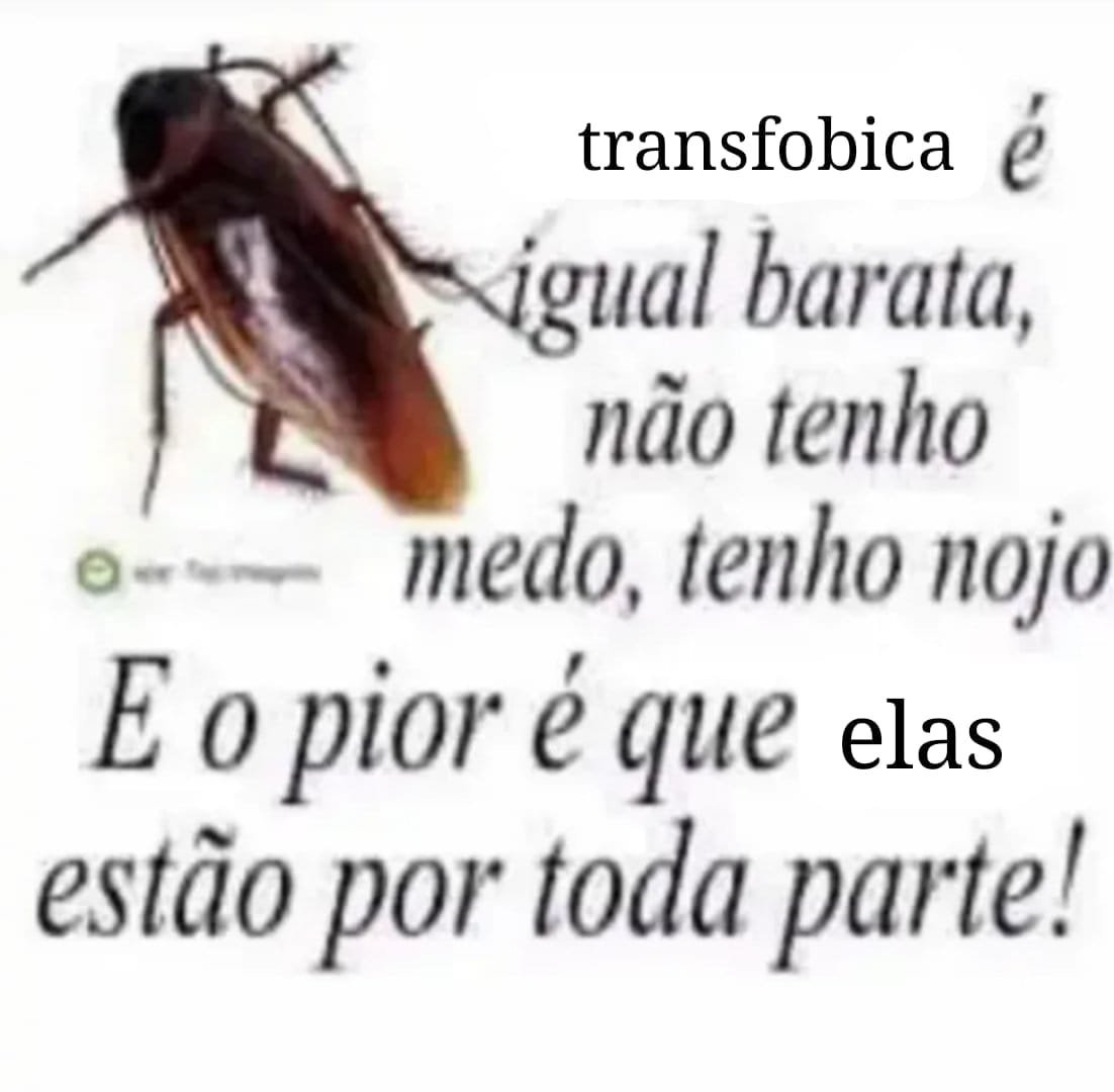 nafta_l_ina's tweet photo. gnt essas lesbicas do tuiter q nao tem o minimo de nocao da realidade e historia da comunidade eu nao aguento. vcs tao literalmente Ignorando a Base da nossa comunidade e do nosso movimento que sao as lesbicas que tao fora da conformidade de genero se manquem eu hein https://t.co/NP22BY3CVO